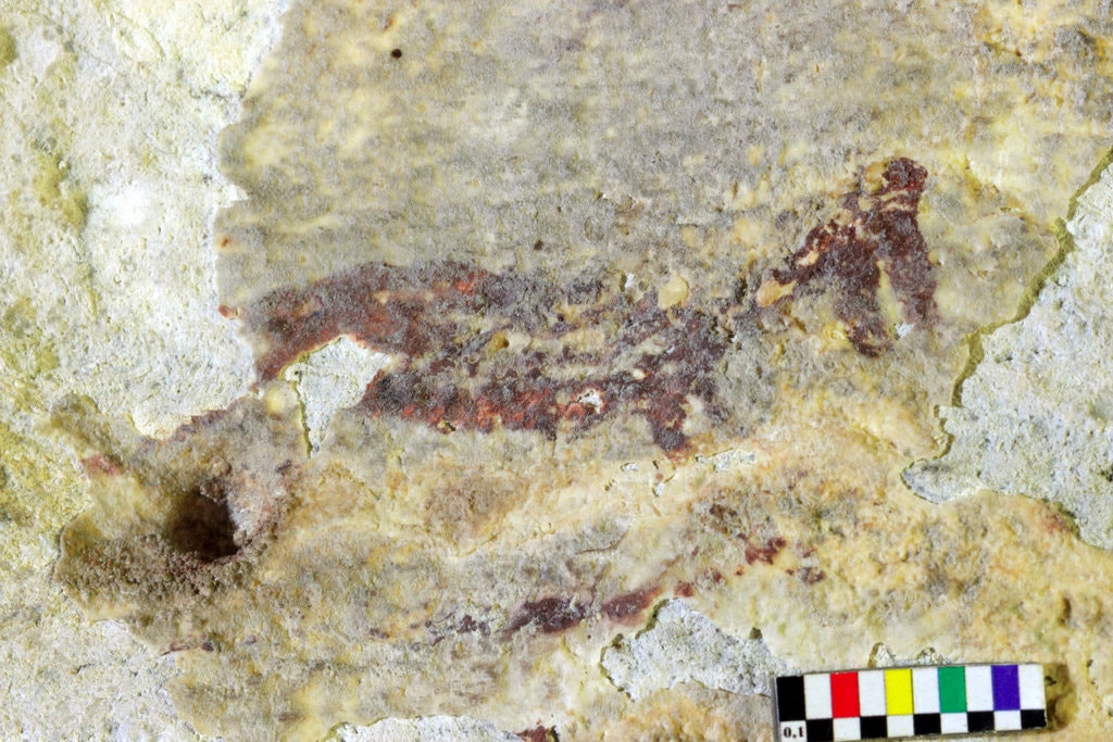 43,900 year old cave painting found in Indonesia