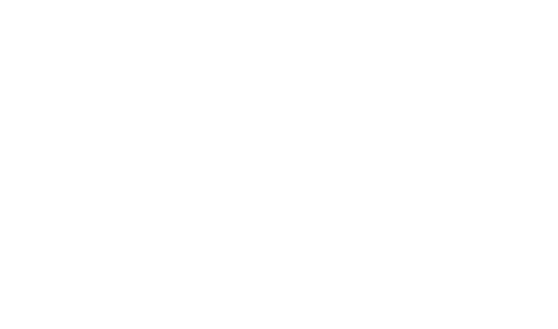 Verdine Houston Texas Plant-based restaurant