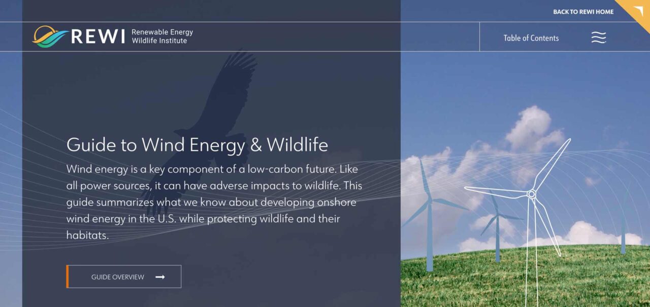 REWI Wind & Wildlife Website Project | The Brand Stand