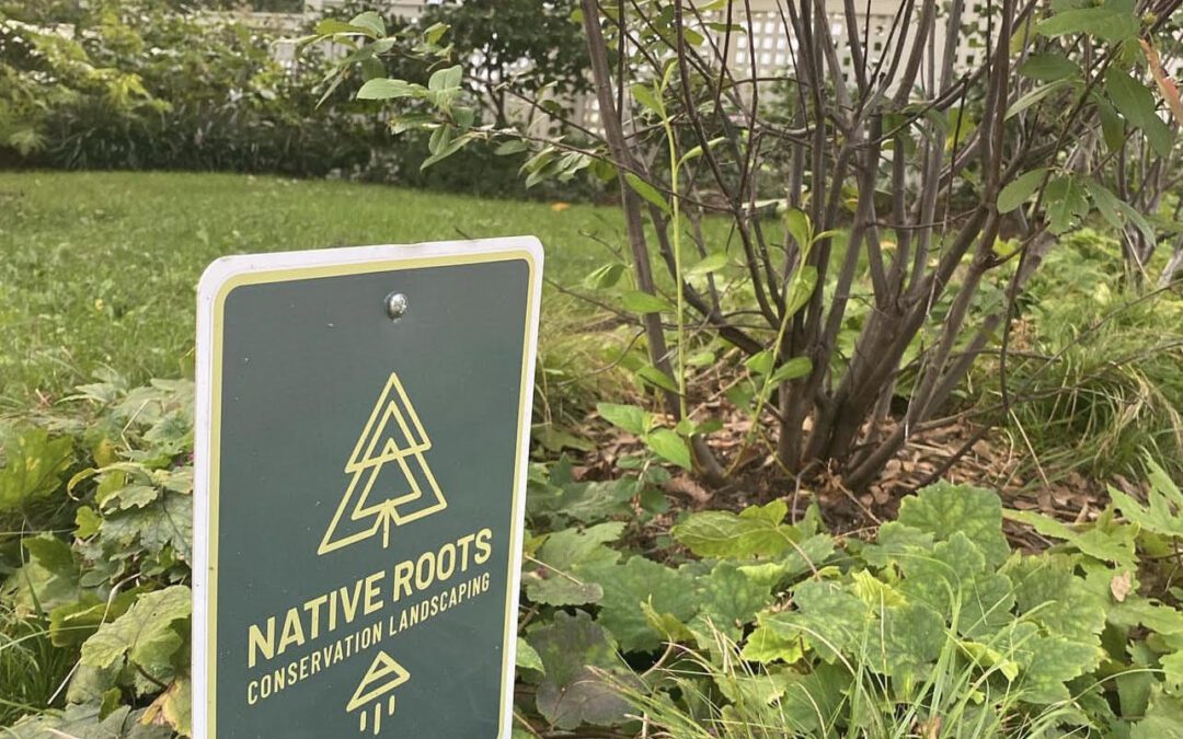 Native roots conservation landscaping