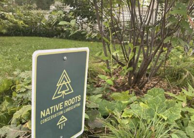 Native roots conservation landscaping